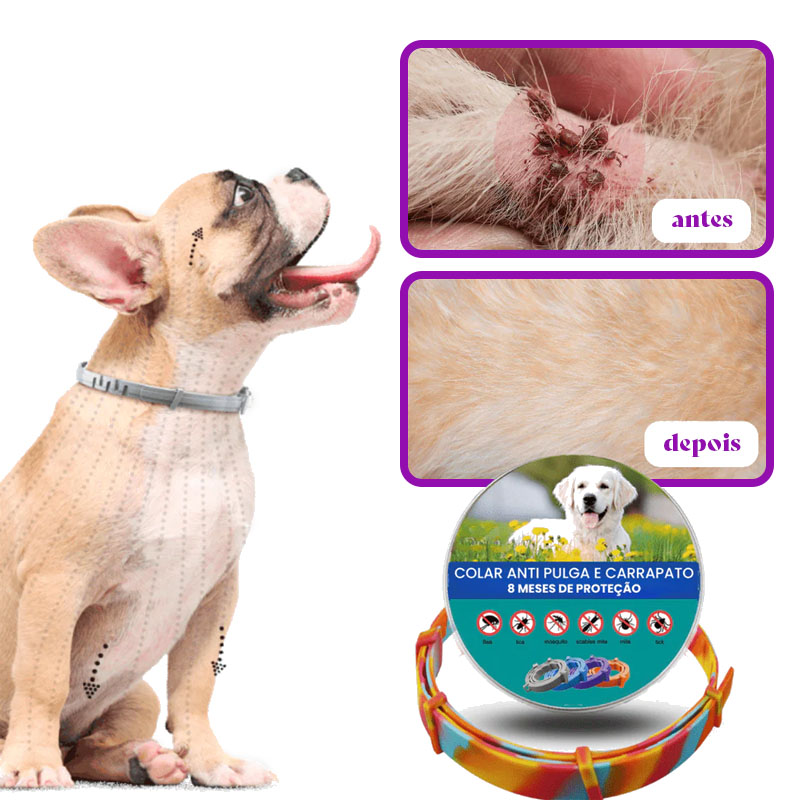 PetProtect - Colar Anti Pulgas e Carrapatos Que Protege Seu Pet Por Até 8 Meses [Compre 1 Leve 2]
